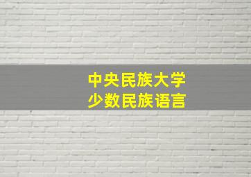 中央民族大学 少数民族语言